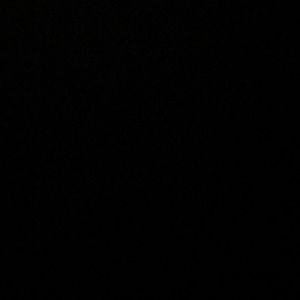 Meet your Posher, Toni